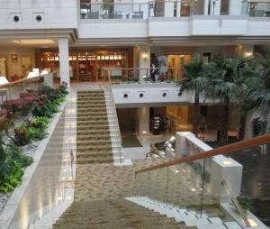 インルームダイニング シェラトン・グランデ・オーシャンリゾート