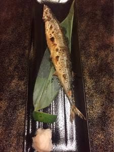 蒔之鼓