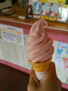 ファーストフードDELI ろまんちっく村