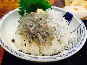 左阿彌本家