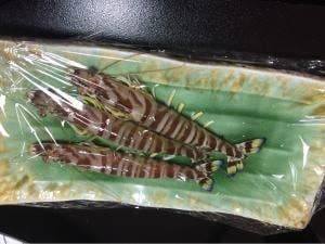 小松屋渚館