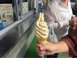 アイスクリームショップ 宇土マリーナ おこしき館内