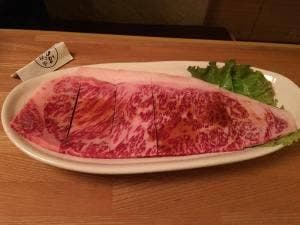 はづ木