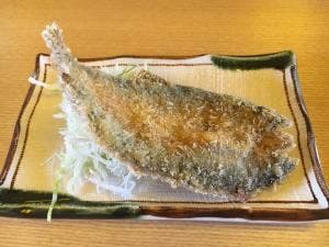 杉ケ瀬ヤナ