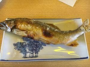 杉ケ瀬ヤナ