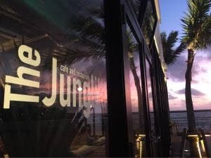 The Junglila cafe and restaurant