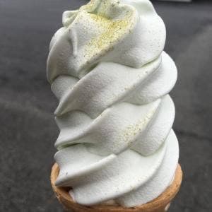 南伊豆アロエセンター