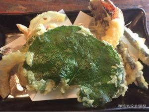 もえぎの家