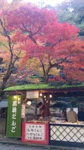 総本家 よし廣