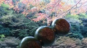 総本家 よし廣
