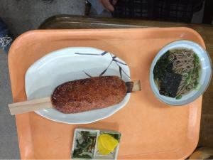 設楽観光ヤナ 八雲苑