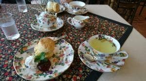 TEALAN 薩摩英国館