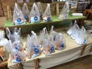 長生たまご館 府中店