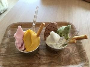 GELATERA Vivo