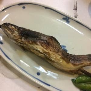 白骨温泉 つるや旅館