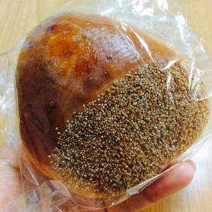 窯焼きパンの店 酪