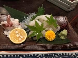酒楽部屋 にこまん馬