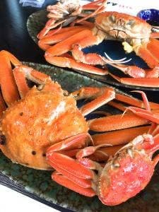 えちぜん 丸太屋