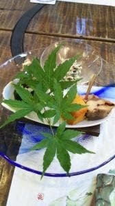 山ノ月