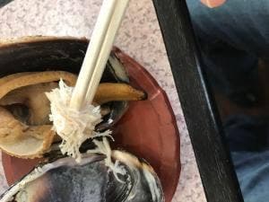 多幸花