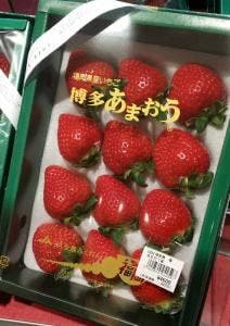 博多 さんか園