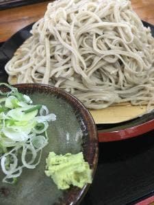 水芭蕉