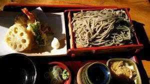 並木藤
