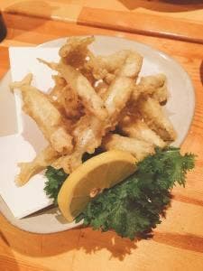 山海塾
