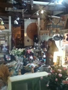 めだか池ギャラリー