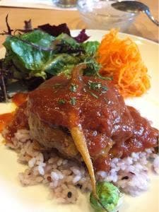 ビストロモデストリュクス