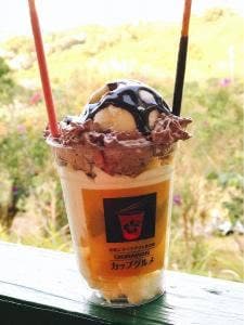 いこいの駅いずみ