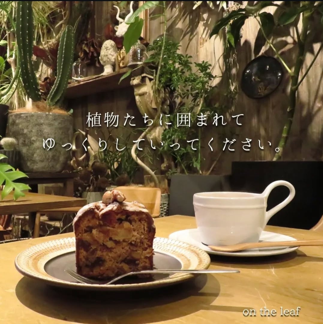 オンザリーフ