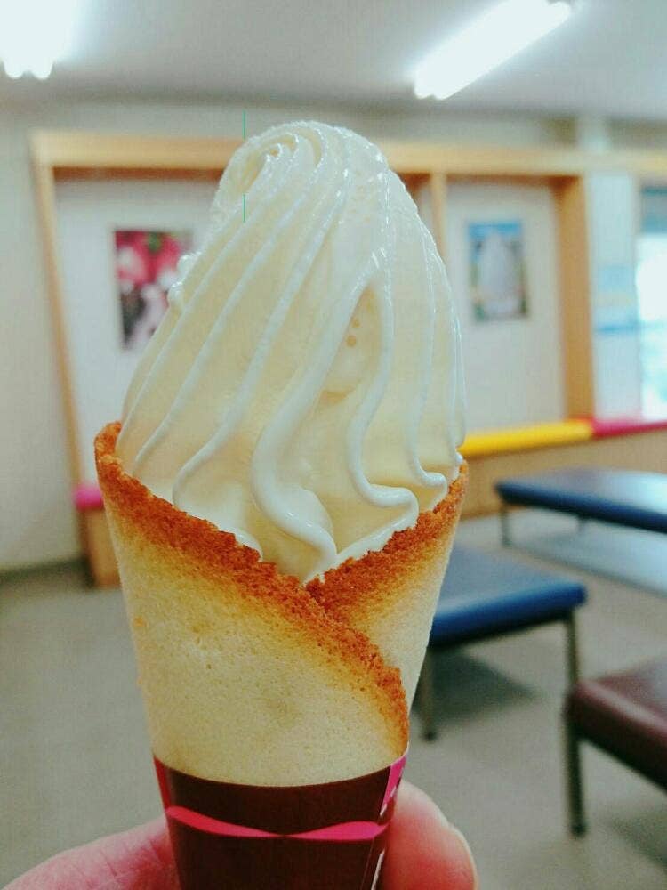 ドルフィン・テイル のとじま水族館