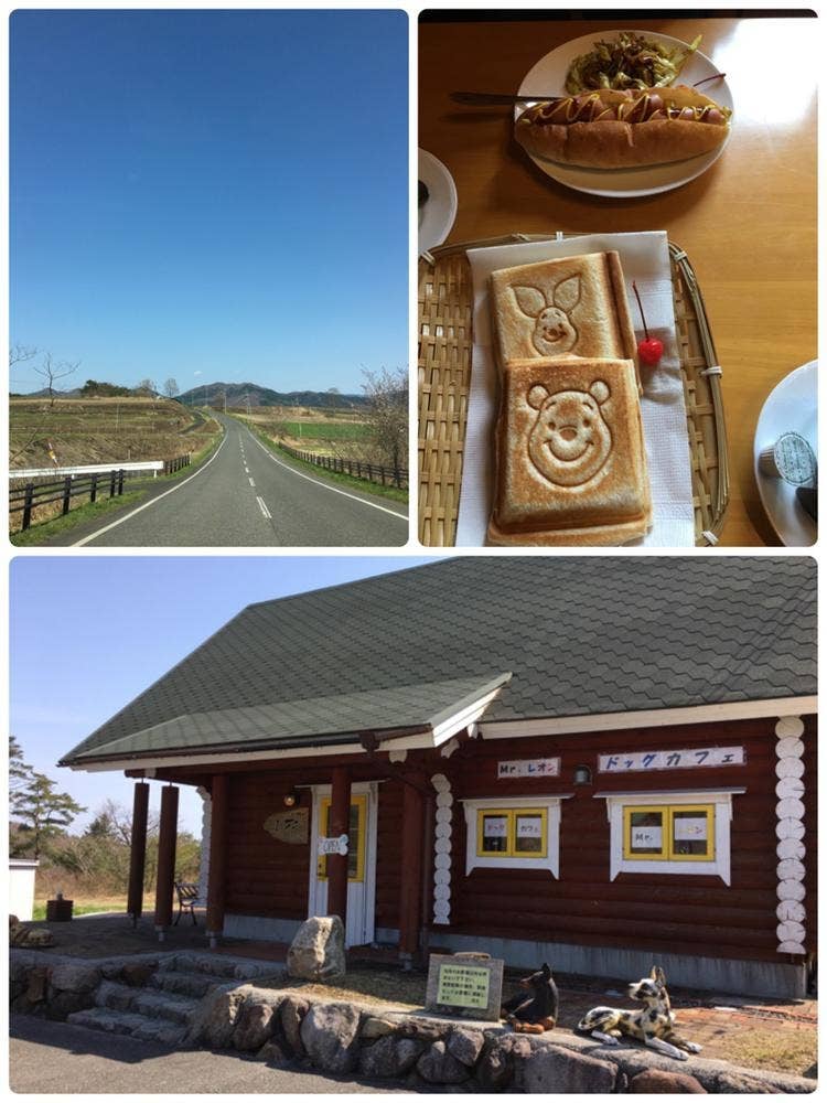 ミスターレオン