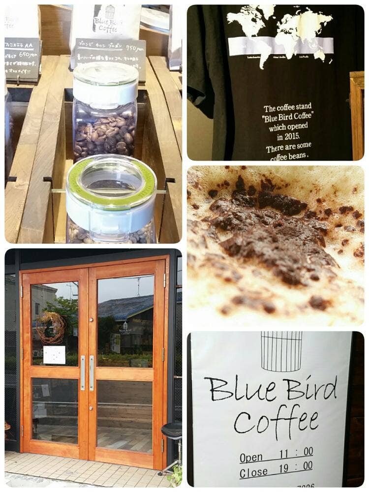 Blue Bird Coffee