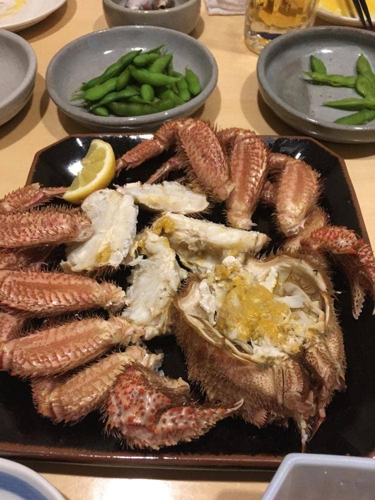 らく楽てい