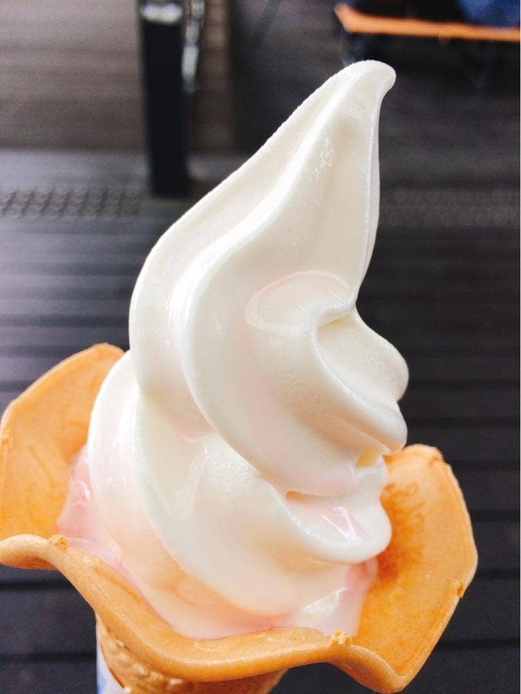 カフェバラの森 花フェスタ記念公園