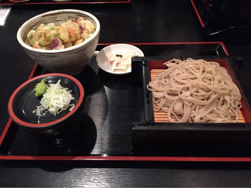 梅の木