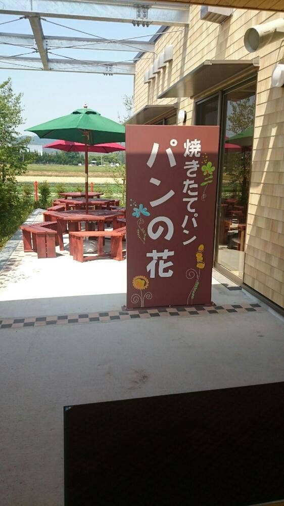 パンの花