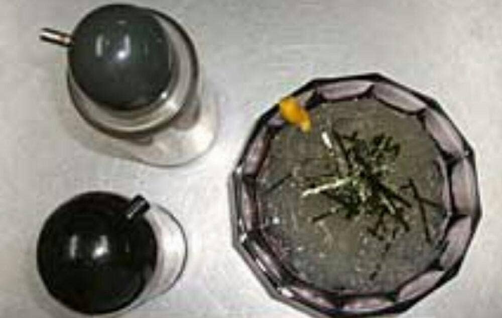 釣船 龍弘丸