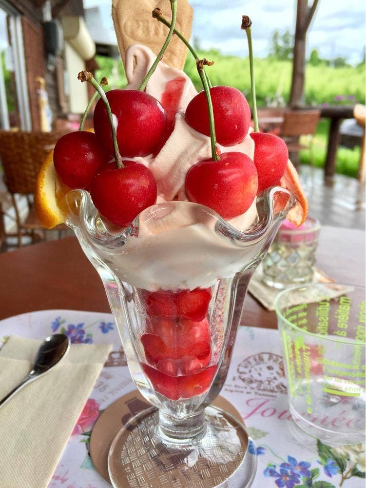 果物楽園 うばふところ