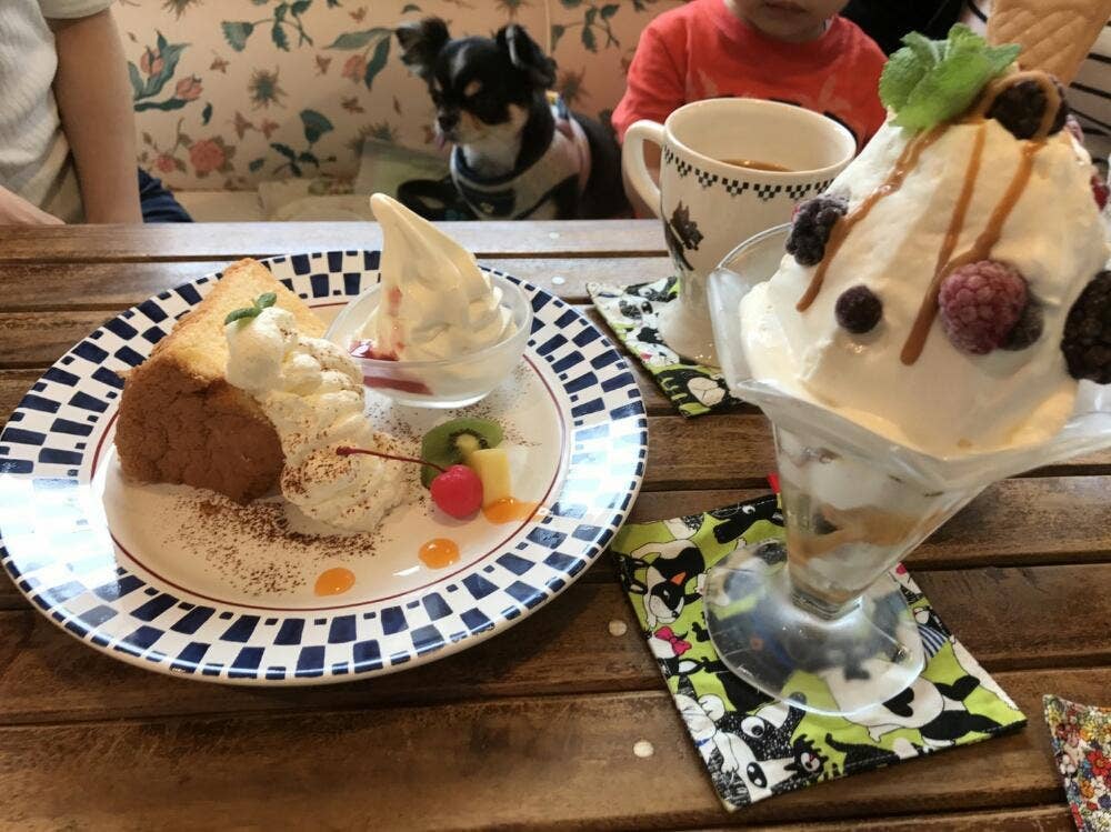 ドッグカフェ マリーポポ