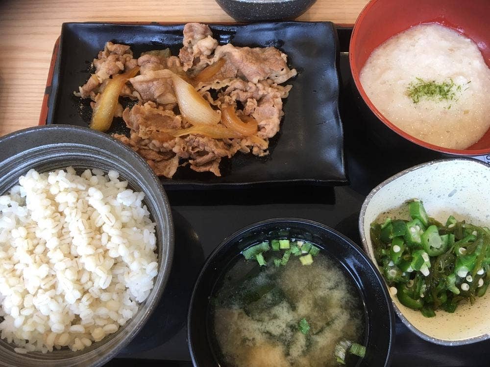 吉野家 岡崎南店