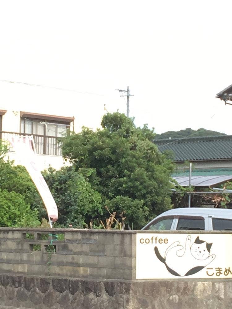 こまめ