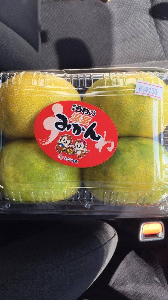 みなみ