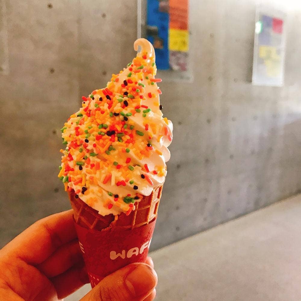 パニエ モエレ沼公園