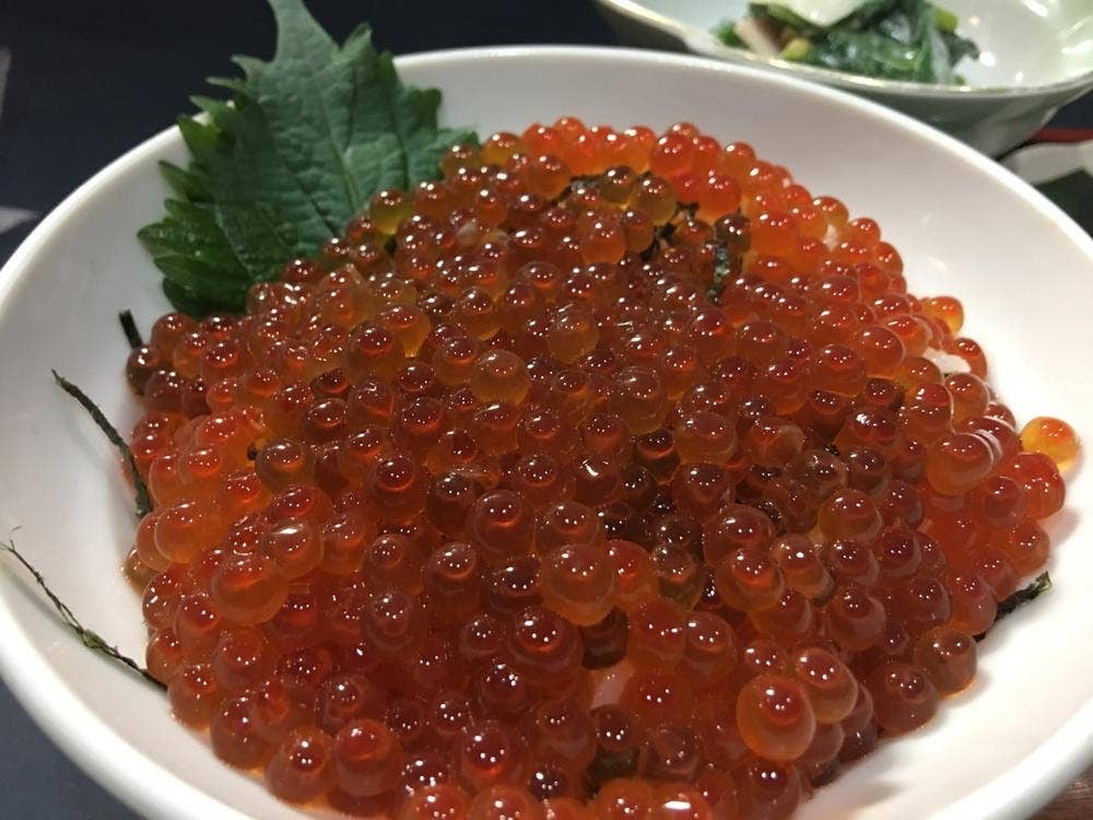 やすらぎ処 石亀