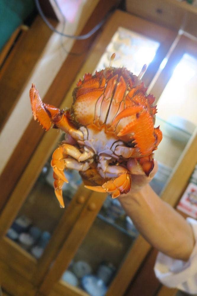 福重板前料理