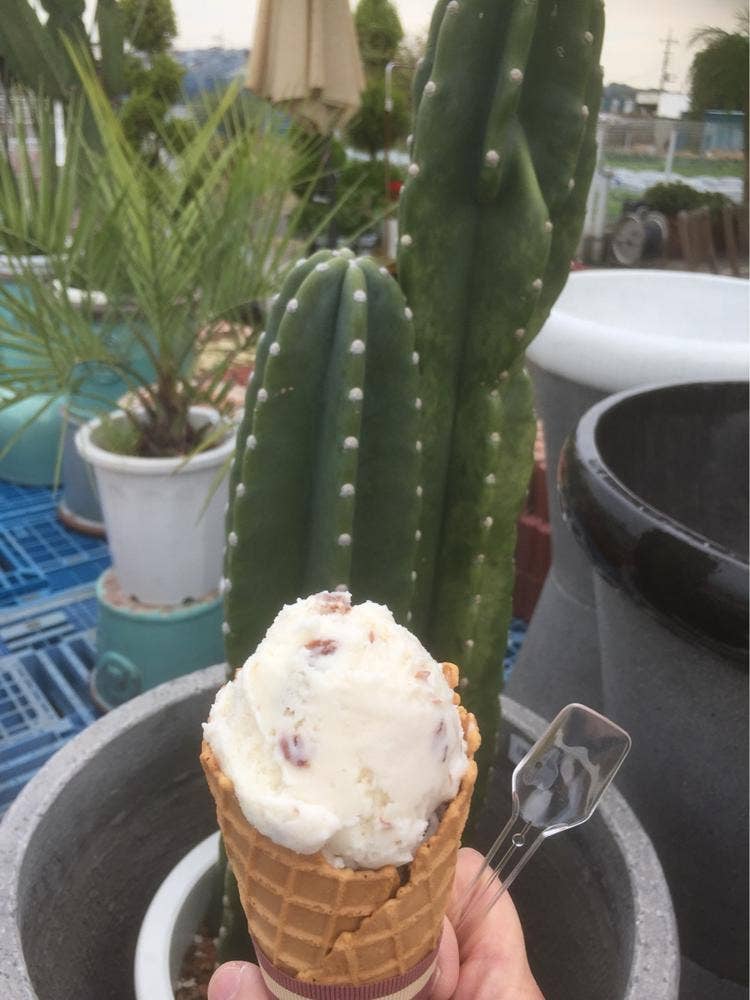 横濱アイス工房 Ono Farm 戸塚深谷店