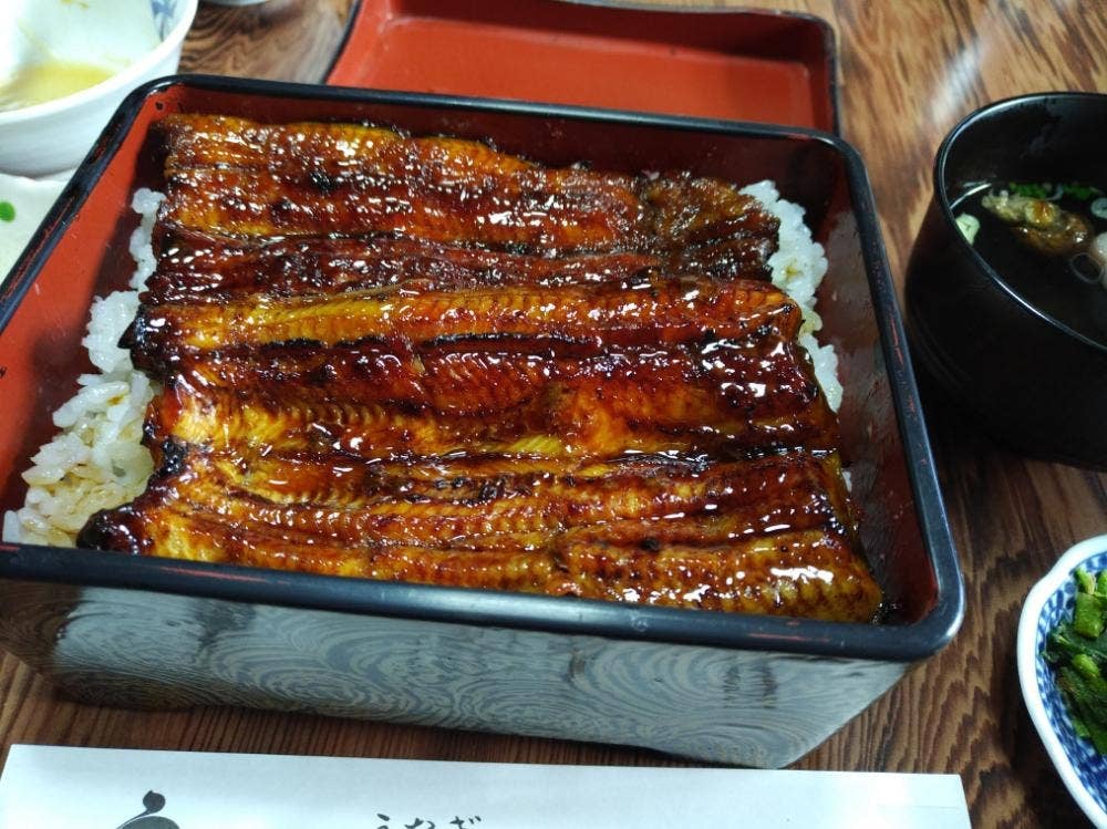 うなぎ 山口